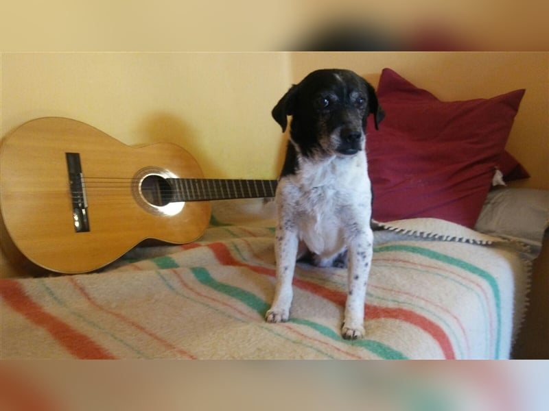 DOC sucht ein Zuhause....
