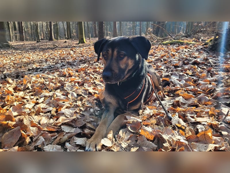 Max - ein echter Hingucker