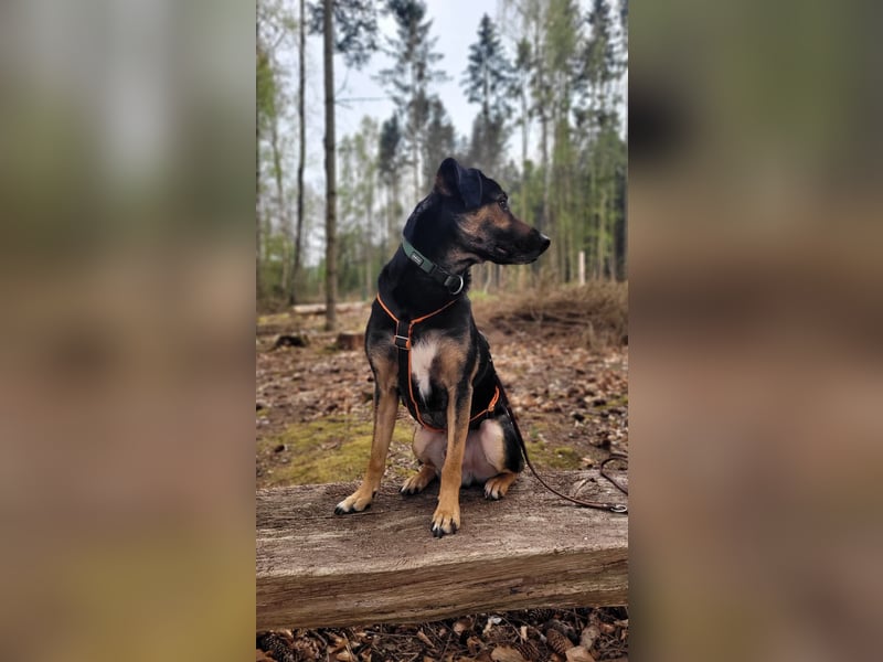 Max - ein echter Hingucker