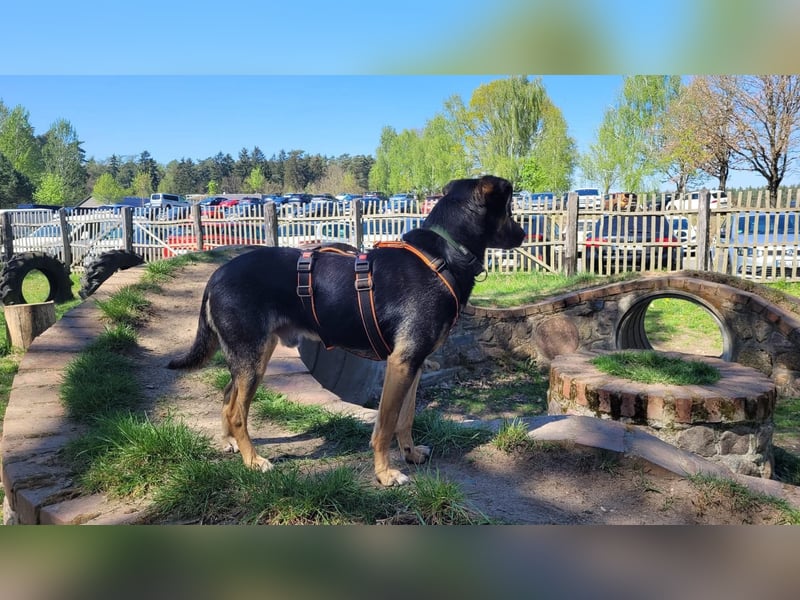 Max - ein echter Hingucker