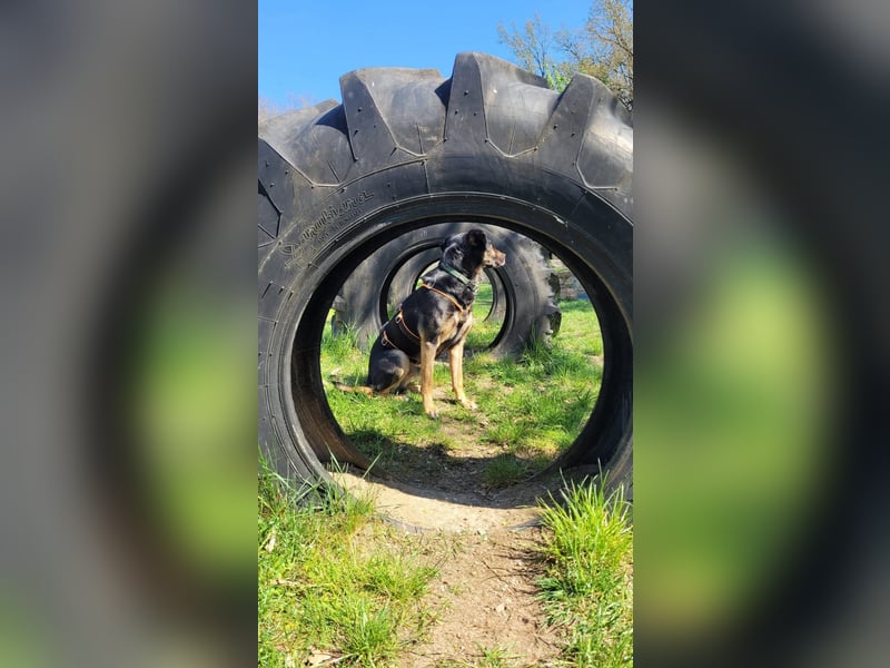 Max - ein echter Hingucker