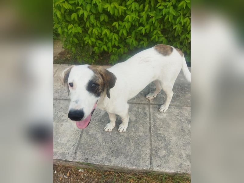 Kleiner Pirat Ozzy ist ein Zuckerschnäuzchen