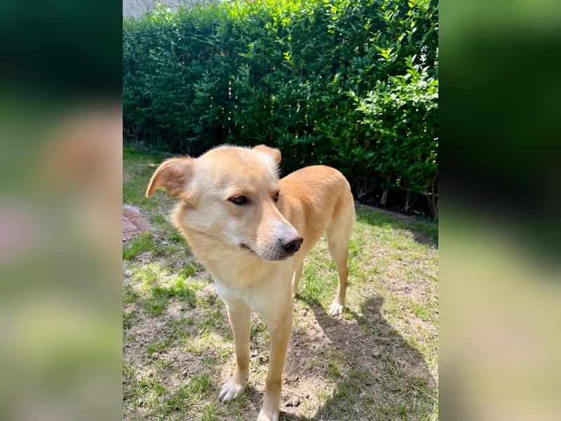 Snookie sucht sein Zuhause