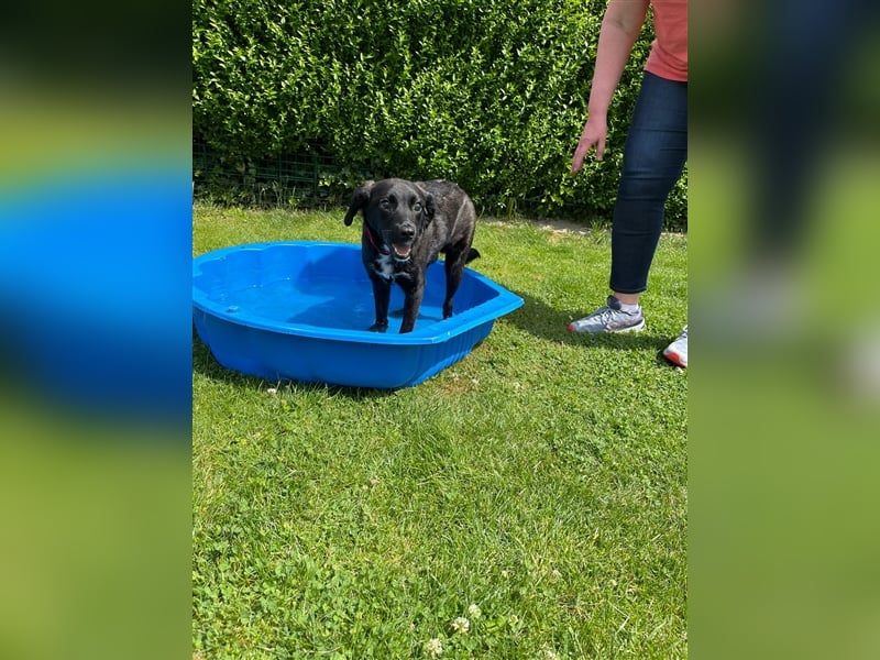 Sirius mit Handicap