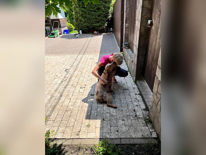 Toller Philipp sucht seine Familie!