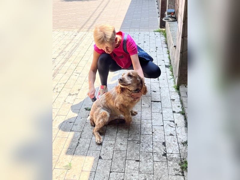Toller Philipp sucht seine Familie!