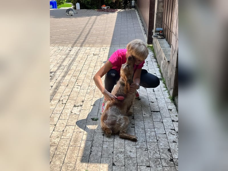 Toller Philipp sucht seine Familie!