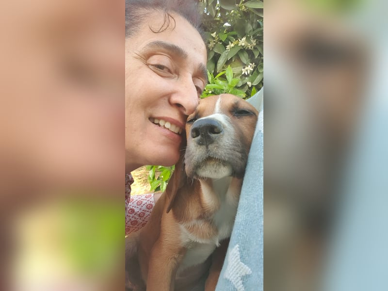 Junghund TASCO sucht sein Für-immer-Zuhause