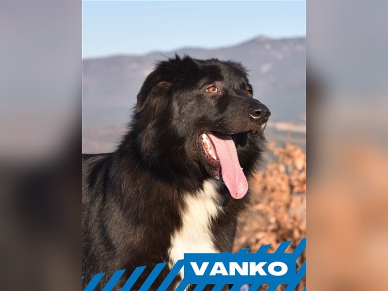 Vanko