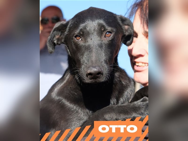 Otto