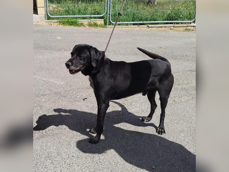 ❤️BLACKY❤️
