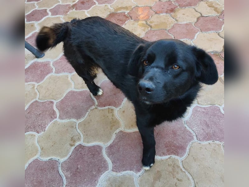 Jona