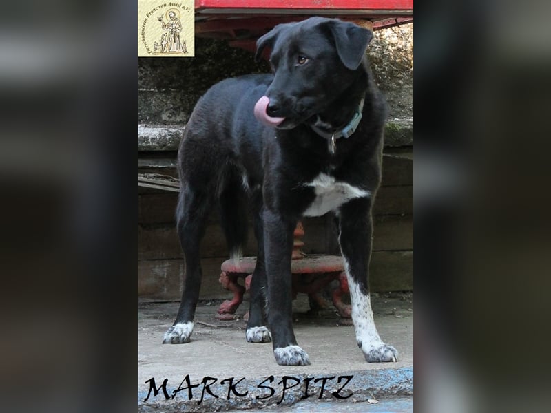 Besonderer Marc Spitz