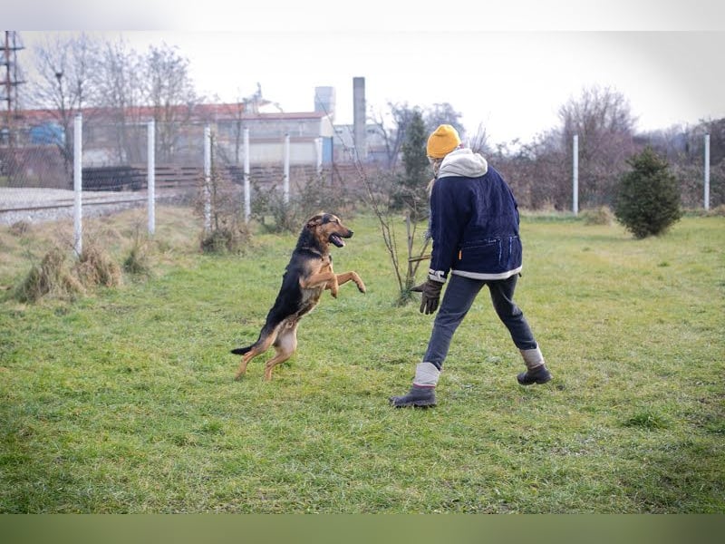 Caruso – Herzbube sucht seinen Menschen