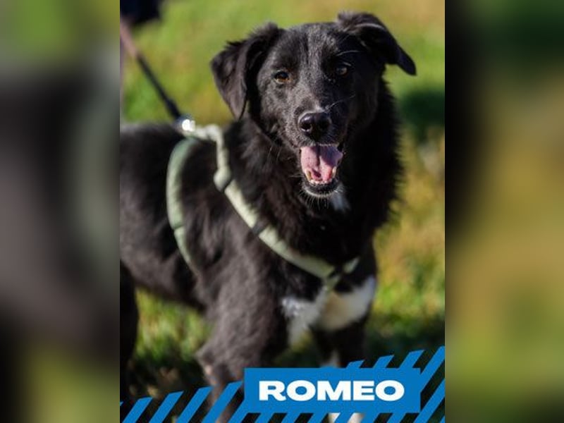 Romeo