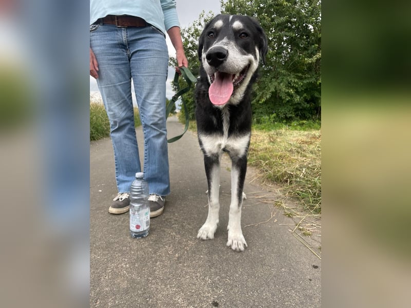 Raio sucht seinen Hof