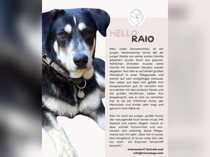 Raio sucht seinen Hof