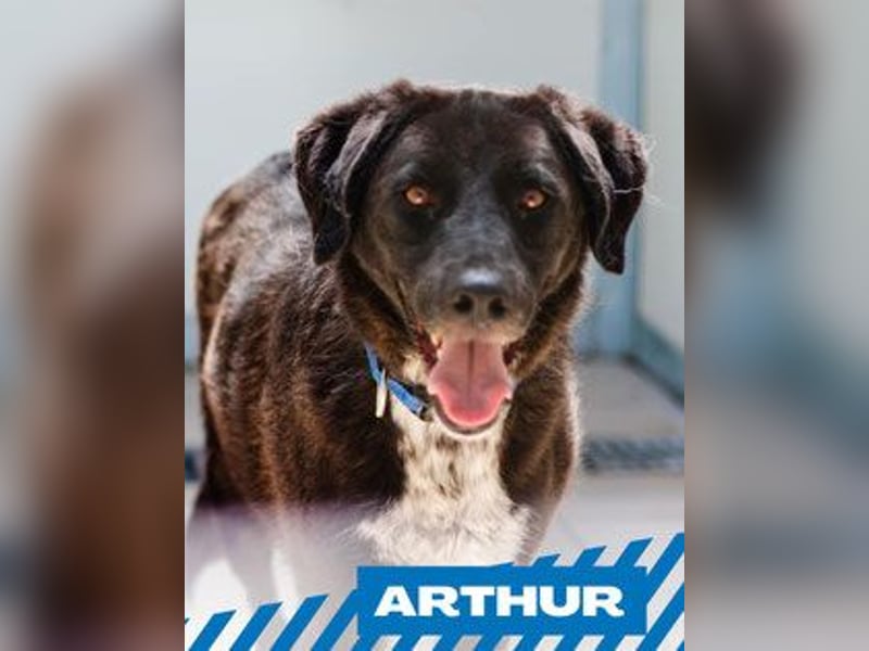 Arthur