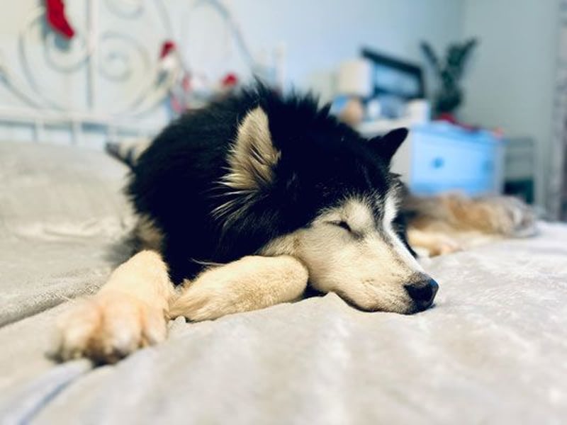 Ares