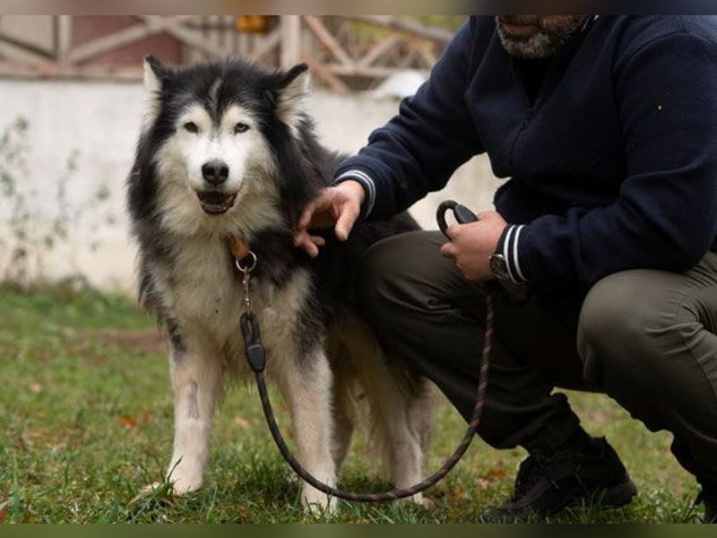 Ares