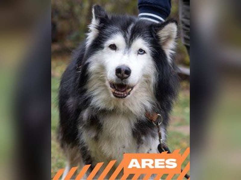 Ares