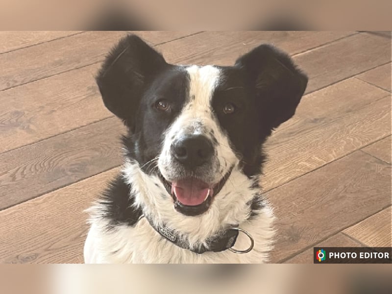 Frodo, ein Teddybär sucht seine Familie, PS in 86701 Rohrenfels