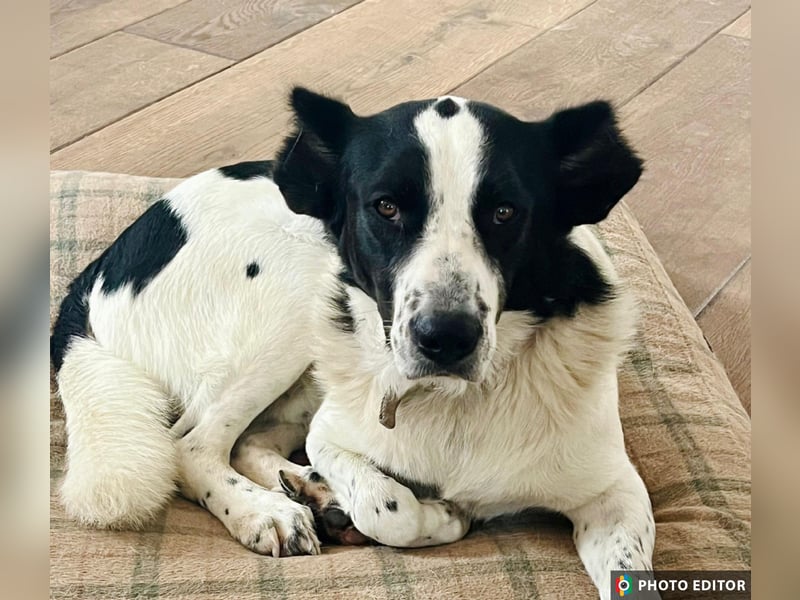 Frodo, ein Teddybär sucht seine Familie, PS in 86701 Rohrenfels