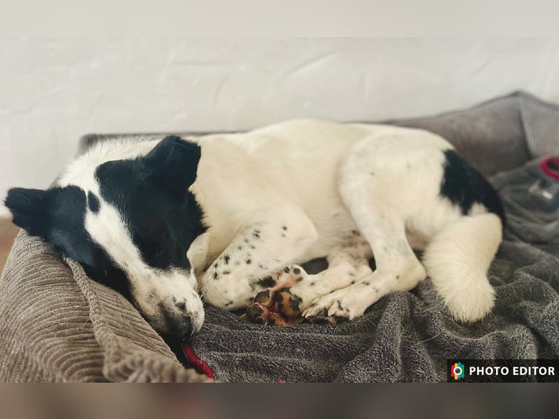 Frodo, ein Teddybär sucht seine Familie, PS in 86701 Rohrenfels