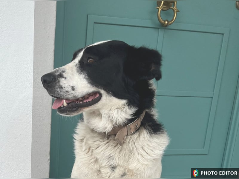 Frodo, ein Teddybär sucht seine Familie, PS in 86701 Rohrenfels
