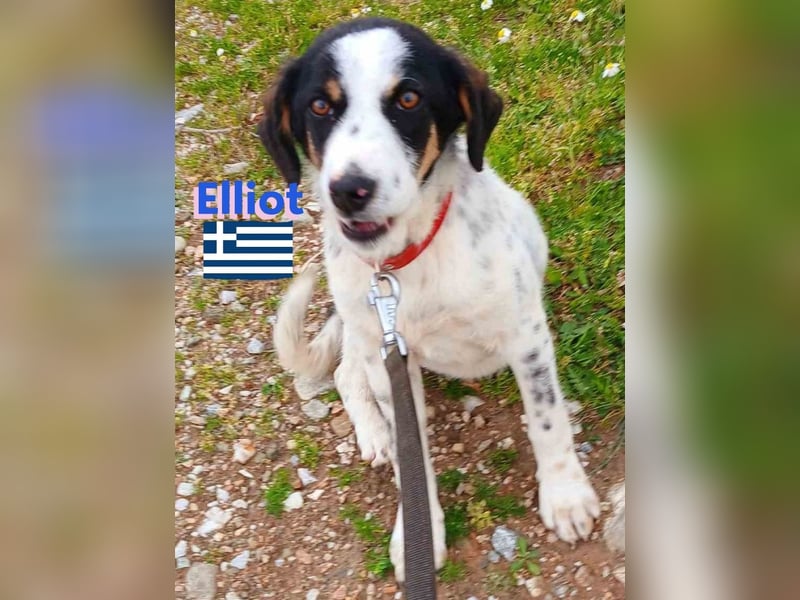 Elliot,geb.10/24,sozialer,lernwilliger Bub sucht seine Familie