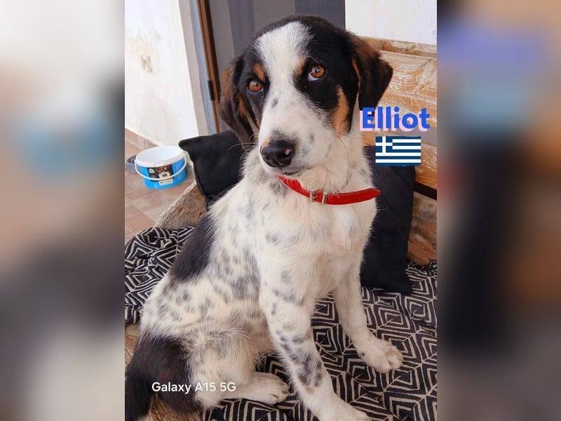 Elliot,geb.10/24,sozialer,lernwilliger Bub sucht seine Familie