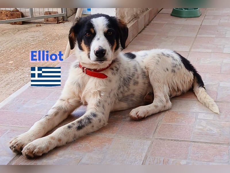 Elliot,geb.10/24,sozialer,lernwilliger Bub sucht seine Familie