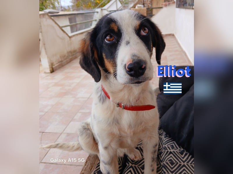 Elliot,geb.10/24,sozialer,lernwilliger Bub sucht seine Familie