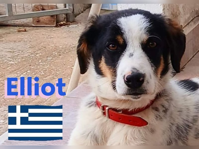 Elliot,geb.10/24,sozialer,lernwilliger Bub sucht seine Familie