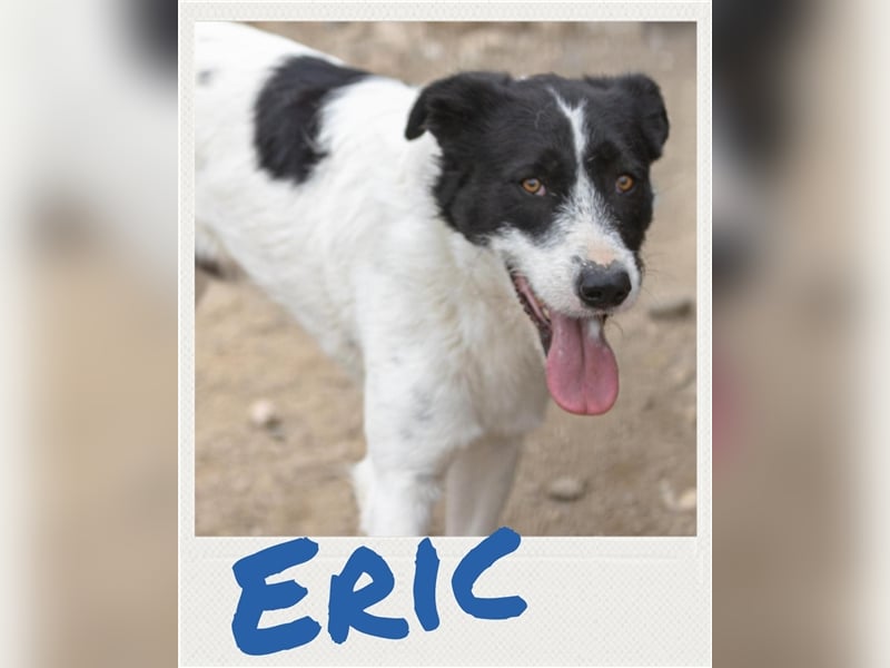 Eric - unsicherer HSH-Mix sucht erfahrene Menschen