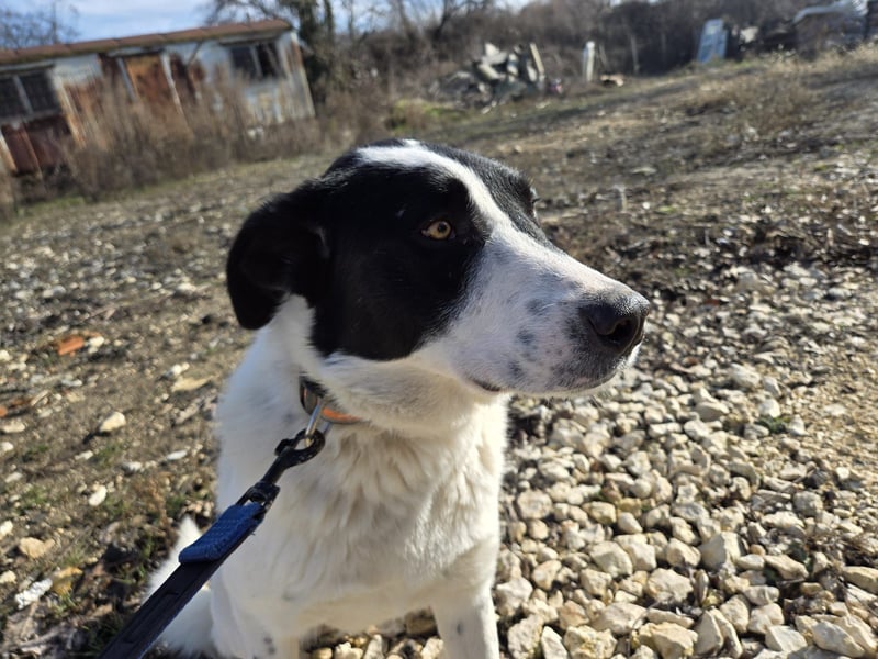 Spencer - sucht seinen Anker