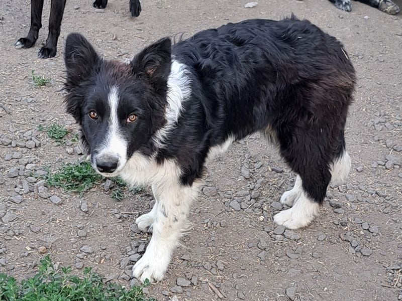 Süßer Neo ( * 01.2025 ) sucht seine Familie