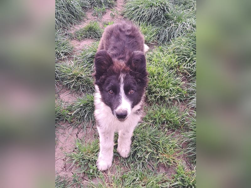 Süßer Neo ( * 01.2025 ) sucht seine Familie