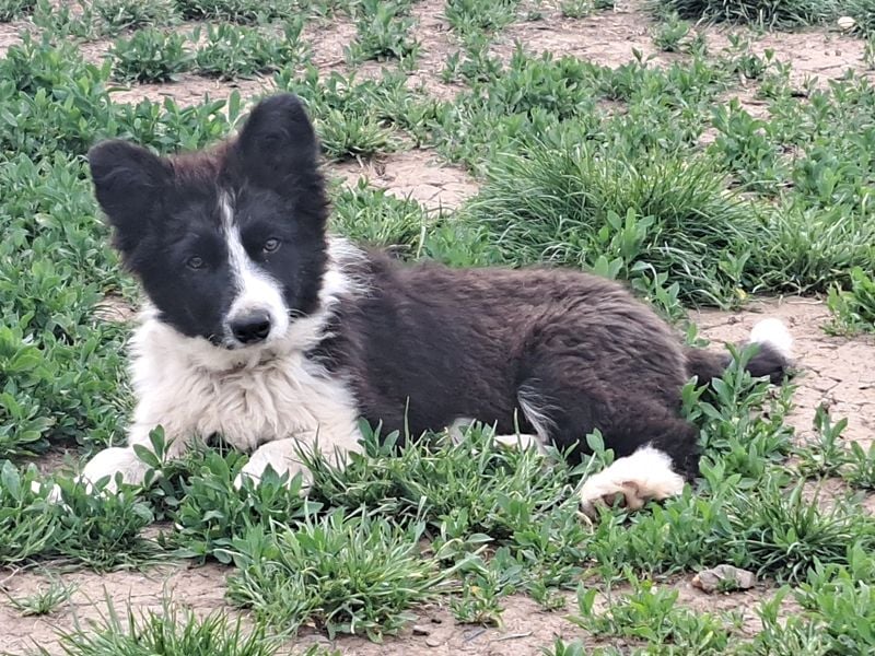 Süßer Neo ( * 01.2025 ) sucht seine Familie