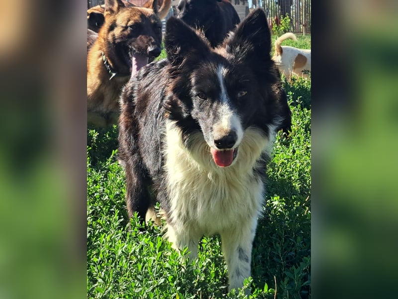 Süßer Neo ( * 01.2025 ) sucht seine Familie
