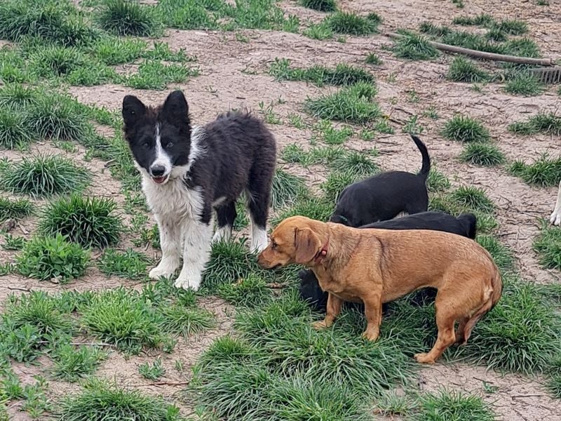 Süßer Neo ( * 01.2025 ) sucht seine Familie