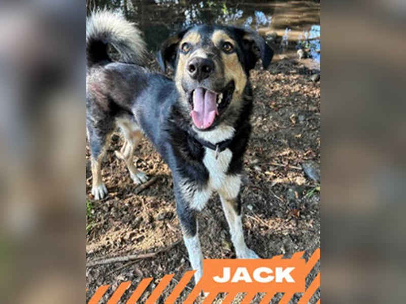 Jack