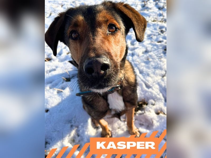 Kasper