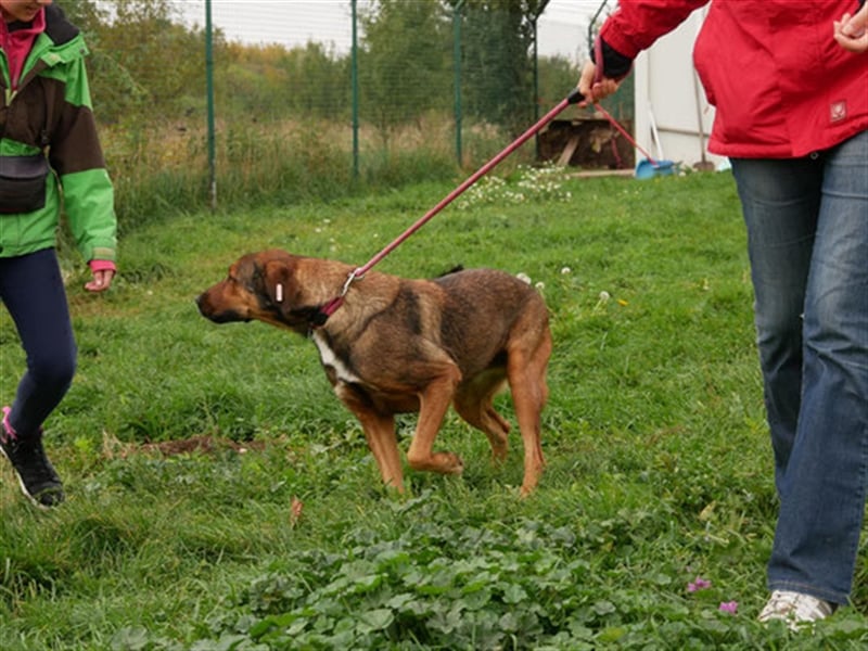 Kasper