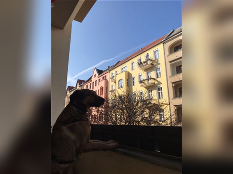 Kasper