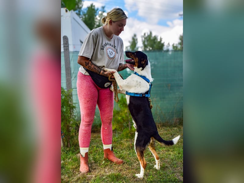 Bark - liebt die Menschen