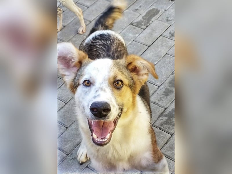 Rio, unser Goldschatz