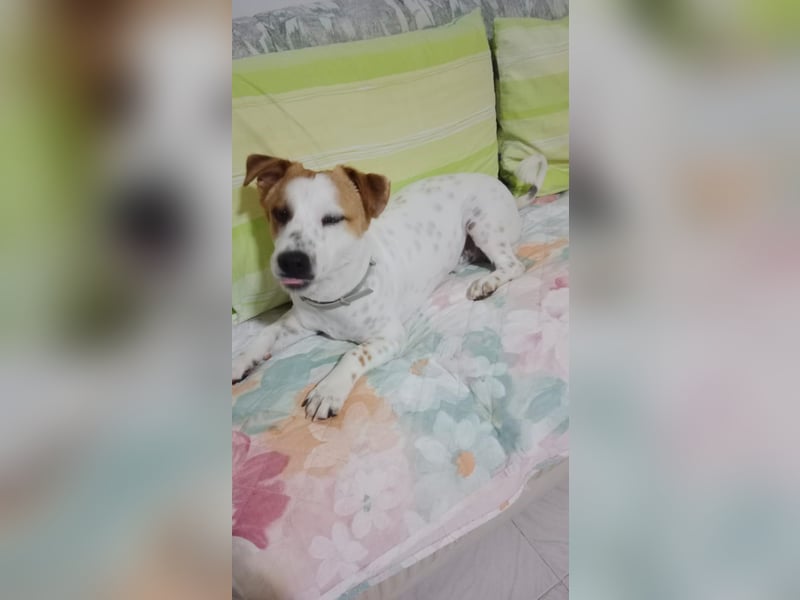 Romeo möchte ankommen