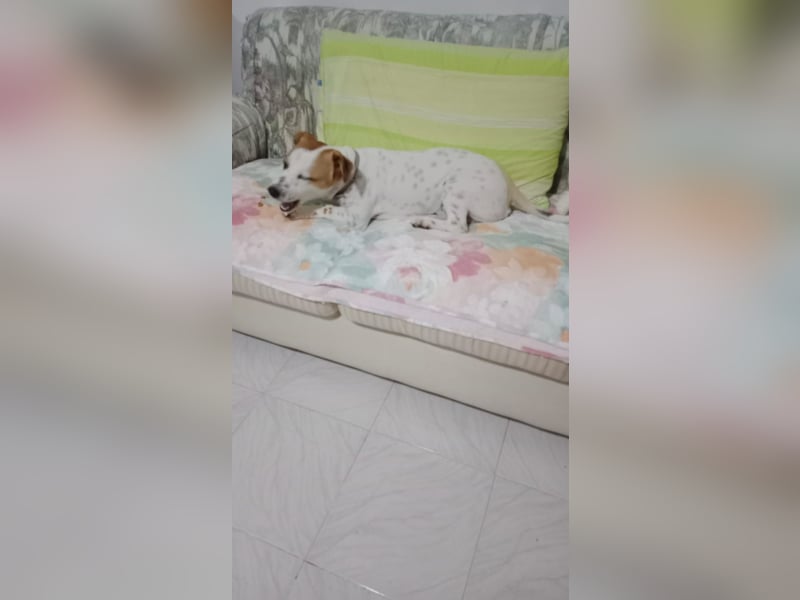 Romeo möchte ankommen