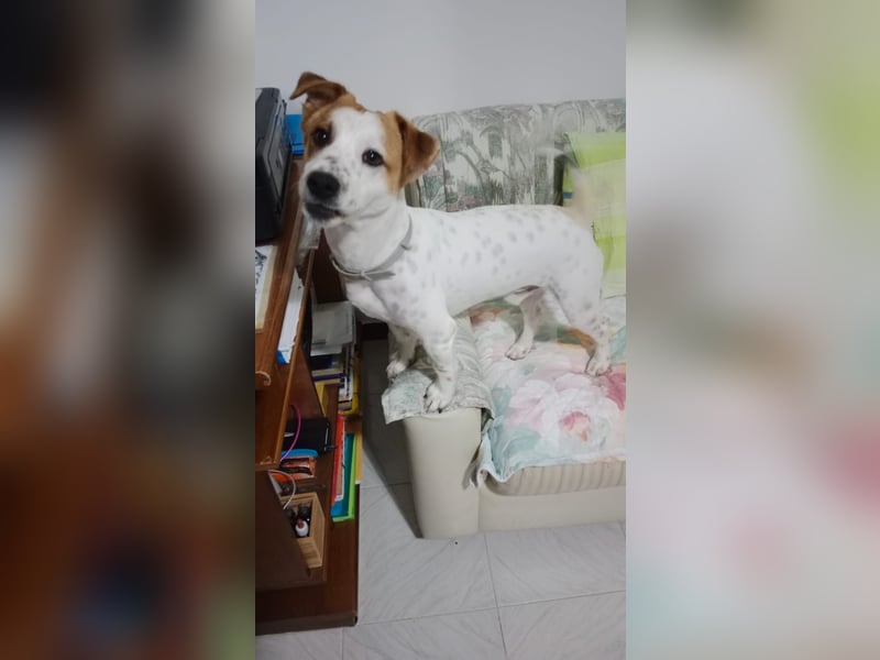 Romeo möchte ankommen